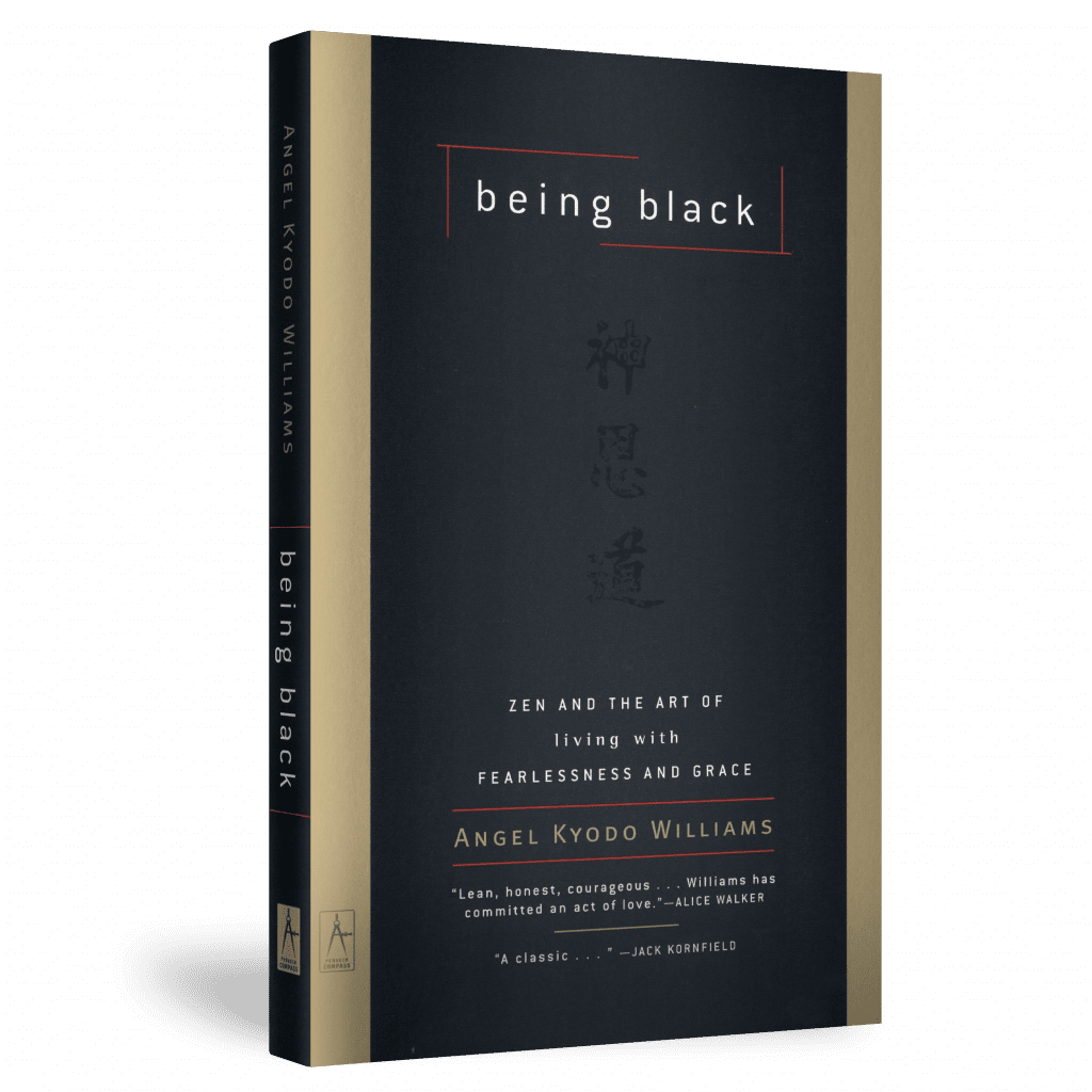 Radical Dharma book image